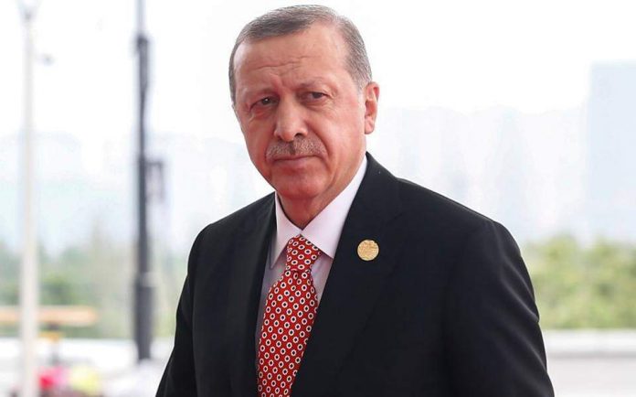 erdogan-2-thumb-large-696x434-1.jpg