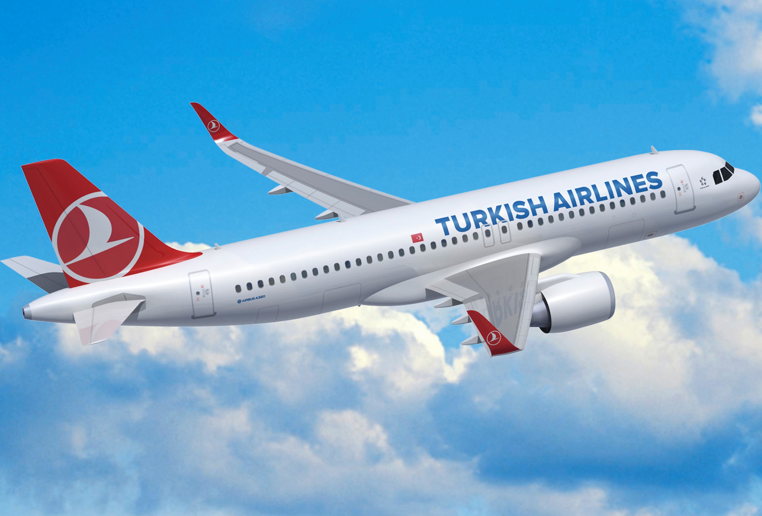 Turkish-airline-line.jpg