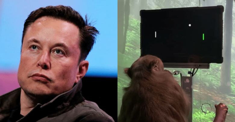 musk.png